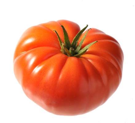 Tomates côtelées rouge "marmande" de Bretagne - Direct producteur, France