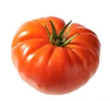 Tomates côtelées rouge "marmande" de Bretagne - Direct producteur, France