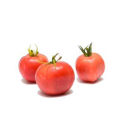 Tomates rondes charnues roses "générose" BIO (pack de 1 Kg), France