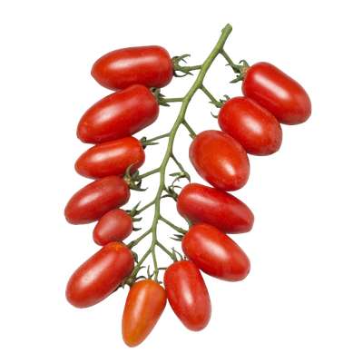 Barquette de tomates cerises mini San-Marzano (250 g), France