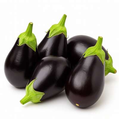 Filet d'aubergines de Provence - direct producteur (500 g), France