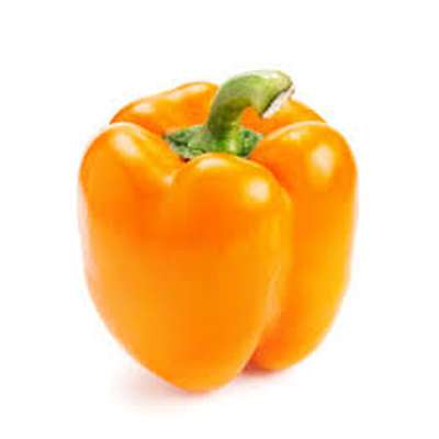 Poivron orange (calibre moyen), Pays-bas