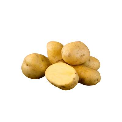 Pommes de terre four, purées, potages, "Colomba" des Hauts-de-France (filet de 2,5 kg), France