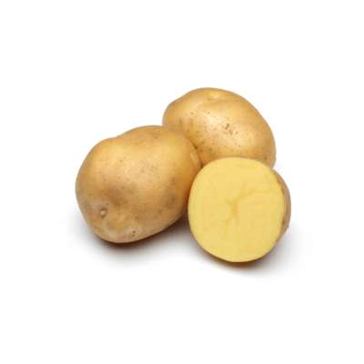 Pommes de terre polyvalente "Regina" des Hauts-de-France (filet de 2,5 kg), France