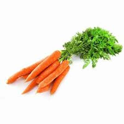 Carottes en botte du Val de Loire, France