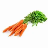 Carottes en botte du Val de Loire, France