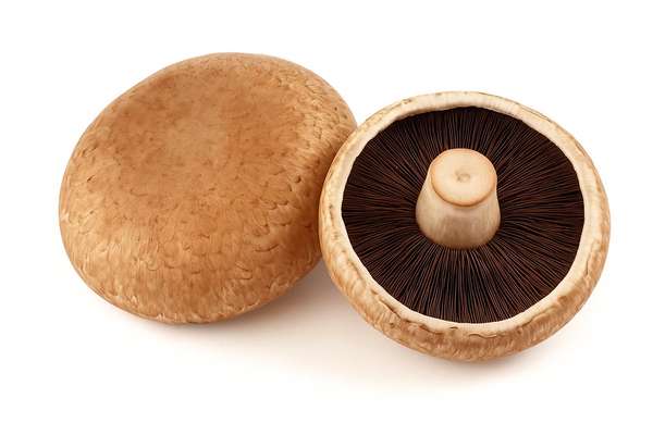 Barquette de 2 champignons Portobello "à farcir" (environ 180 g), Pologne
