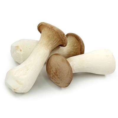 Champignon Eryingii ou "Pleurote du Panicaut" (200 g), Chine