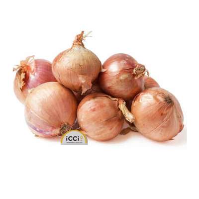 Oignons rose de Bretagne (filet de 1 kg), France
