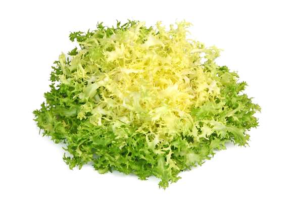 Salade frisée extra HVE, France