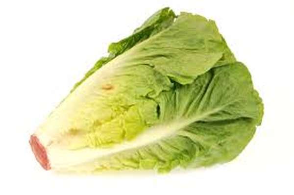 Salade coeur de romaine (calibre moyen), Espagne