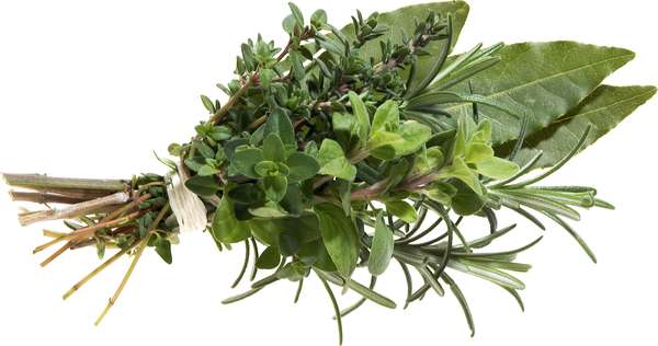 Bouquet garni frais de Seine-et-Marne - direct producteur, France