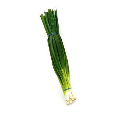 Oignon cebette botte de Provence - direct producteur, France