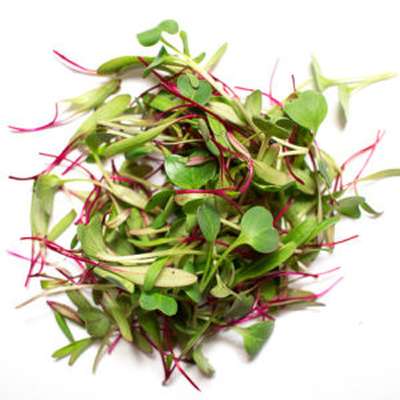 Micro-pousses méli mélo de saison, Ile-de-France, Paysan Urbain (20 g), France