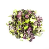 Micro-pousses folie de radis, Ile-de-France, Paysan Urbain (20 g), France