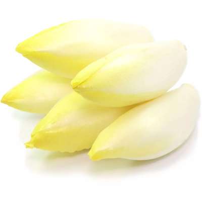 Endive en sachet (1 Kg), France