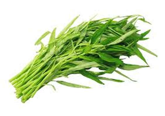 Liseron d'eau - Phak Bong (300g), Thaïlande