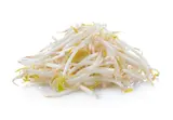 Pousses de soja ou "haricots mungo" (sachets de 500 g), France
