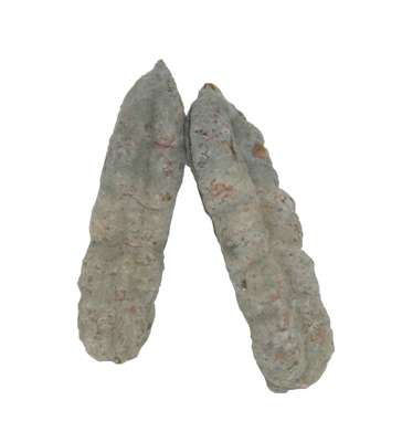 Saucisson sec, Ferme de Montchervet (environ 350 g)