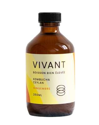 Kombucha thé ceylan gingembre BIO, Vivant (25 cl)