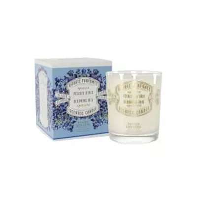 Bougie parfumée - Iris, Panier des sens (180 g)