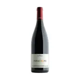 Vin rouge - IGP Cévennes "paradigme" - 100% Merlot sans sulfite 13,5° bio