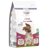 Croquettes pour chiot bio