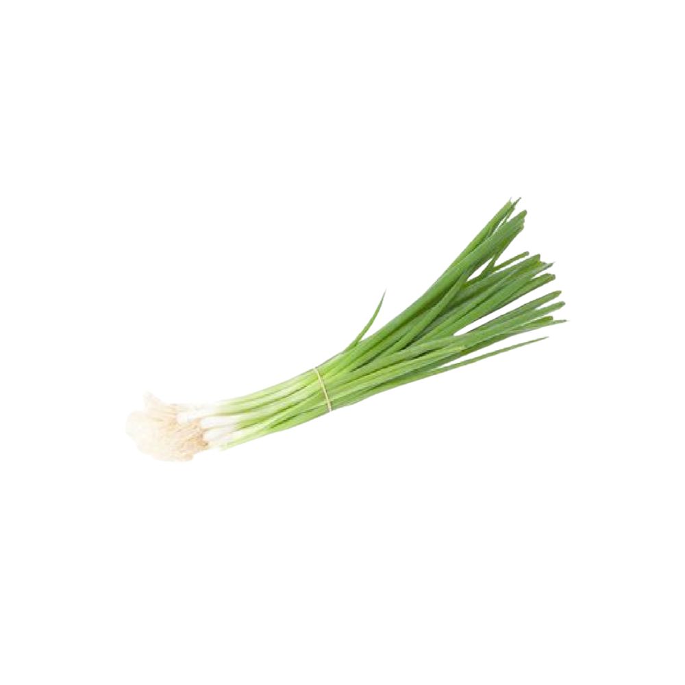 Oignons cebettes bio origine France