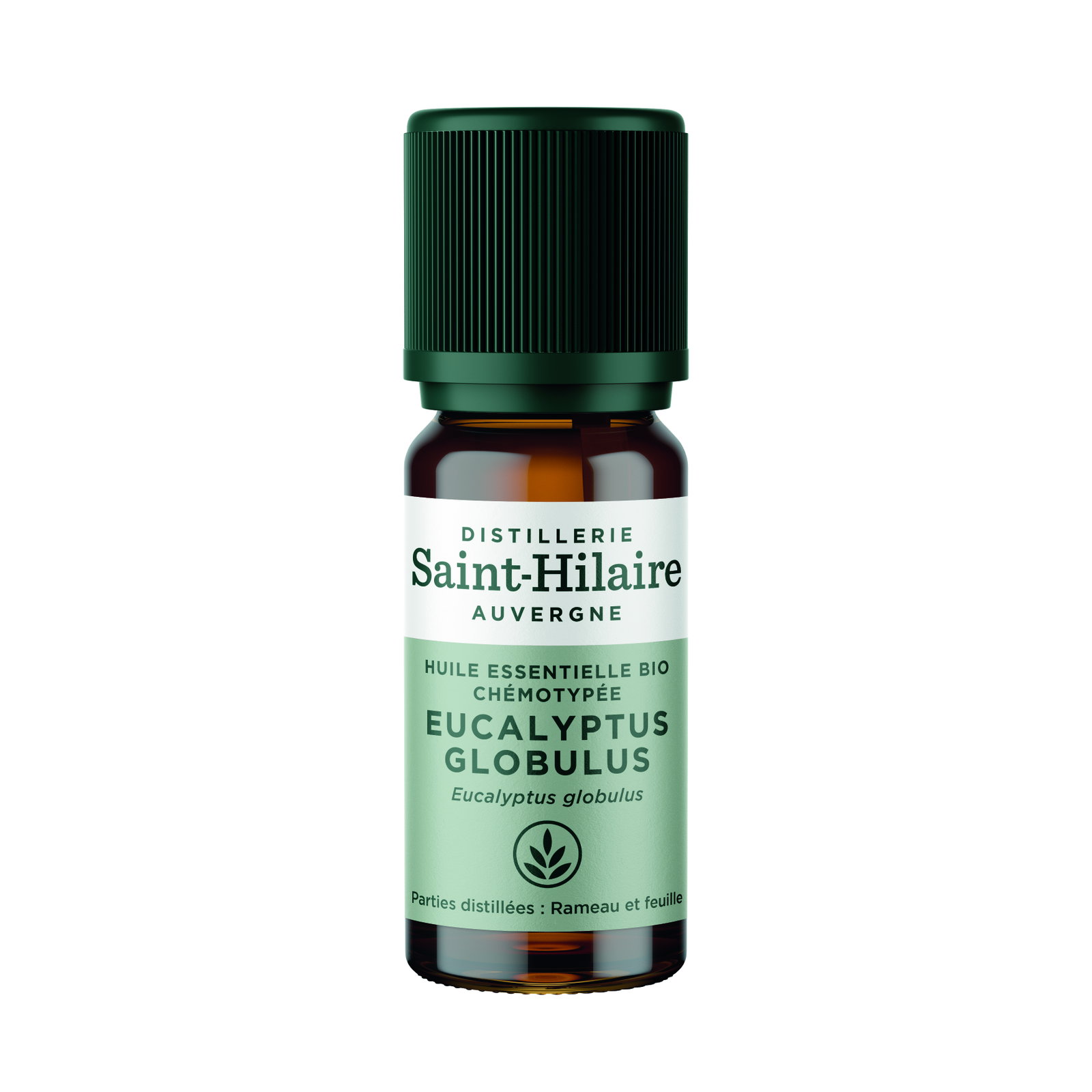 Huile essentielle d'eucalyptus globulus bio