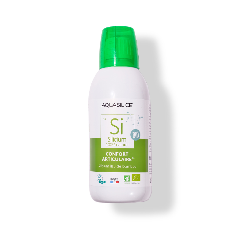 Silicium bio - articulation