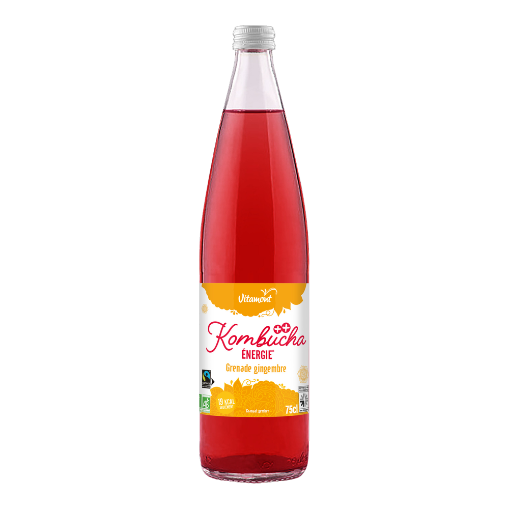 Kombucha énergisant grenade gingembre bio