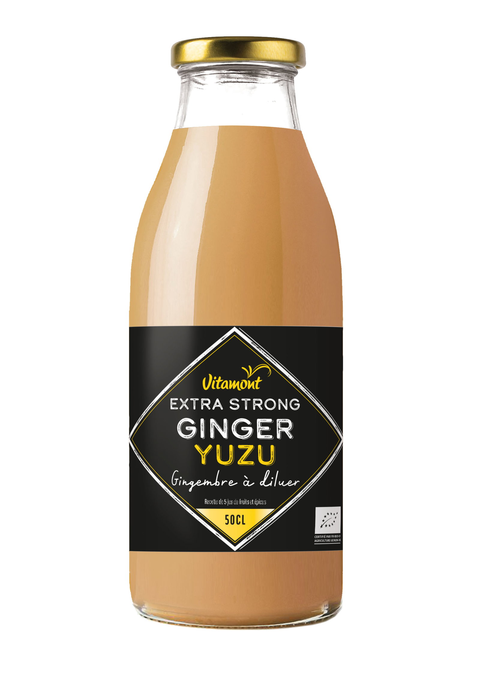 Concentré de gingembre yuzu Extra Strong bio