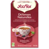 Infusion Défenses Naturelles - vitamine C bio x 17