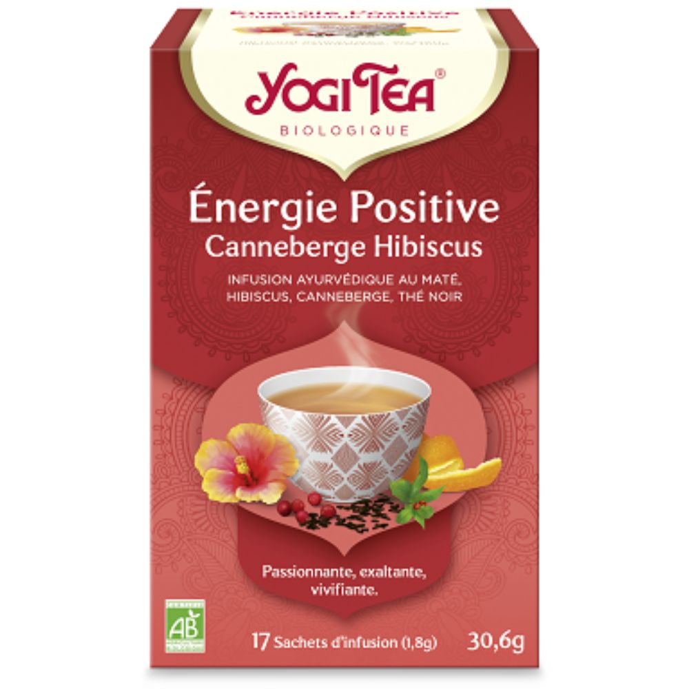 Infusion Energie Positive - maté, canneberge, hibiscus, thé noir bio x 17