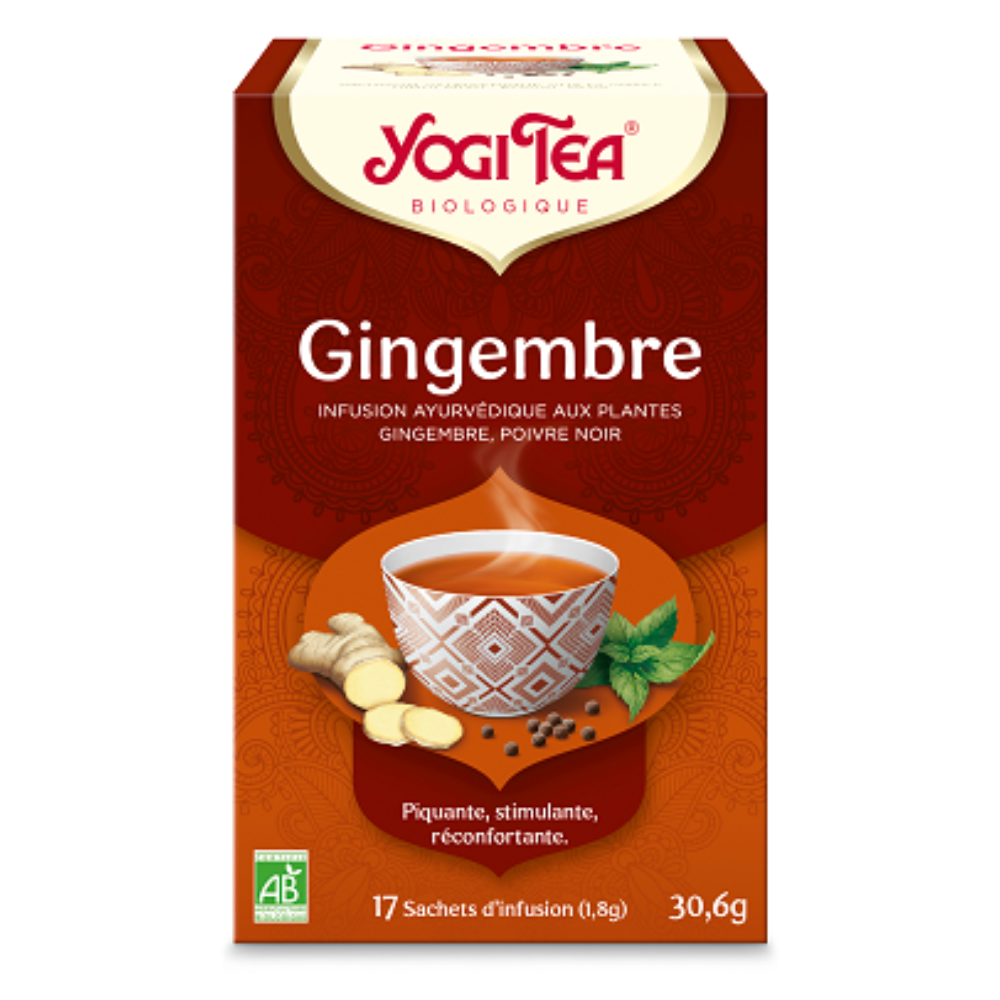 Infusion Gingembre poivre noir bio x 17
