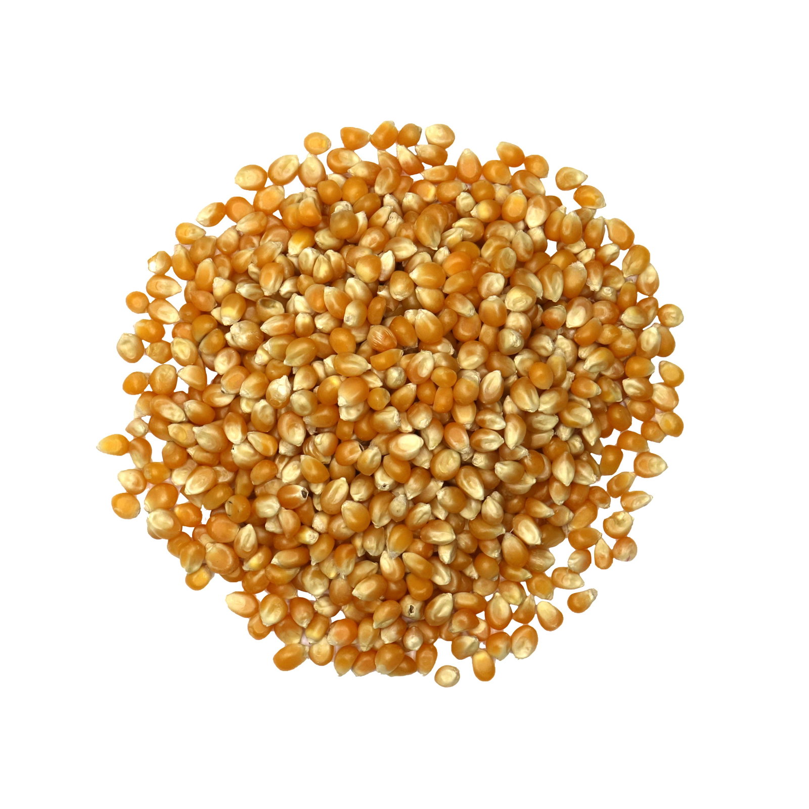 Maïs pop corn bio origine France en sachet kraft