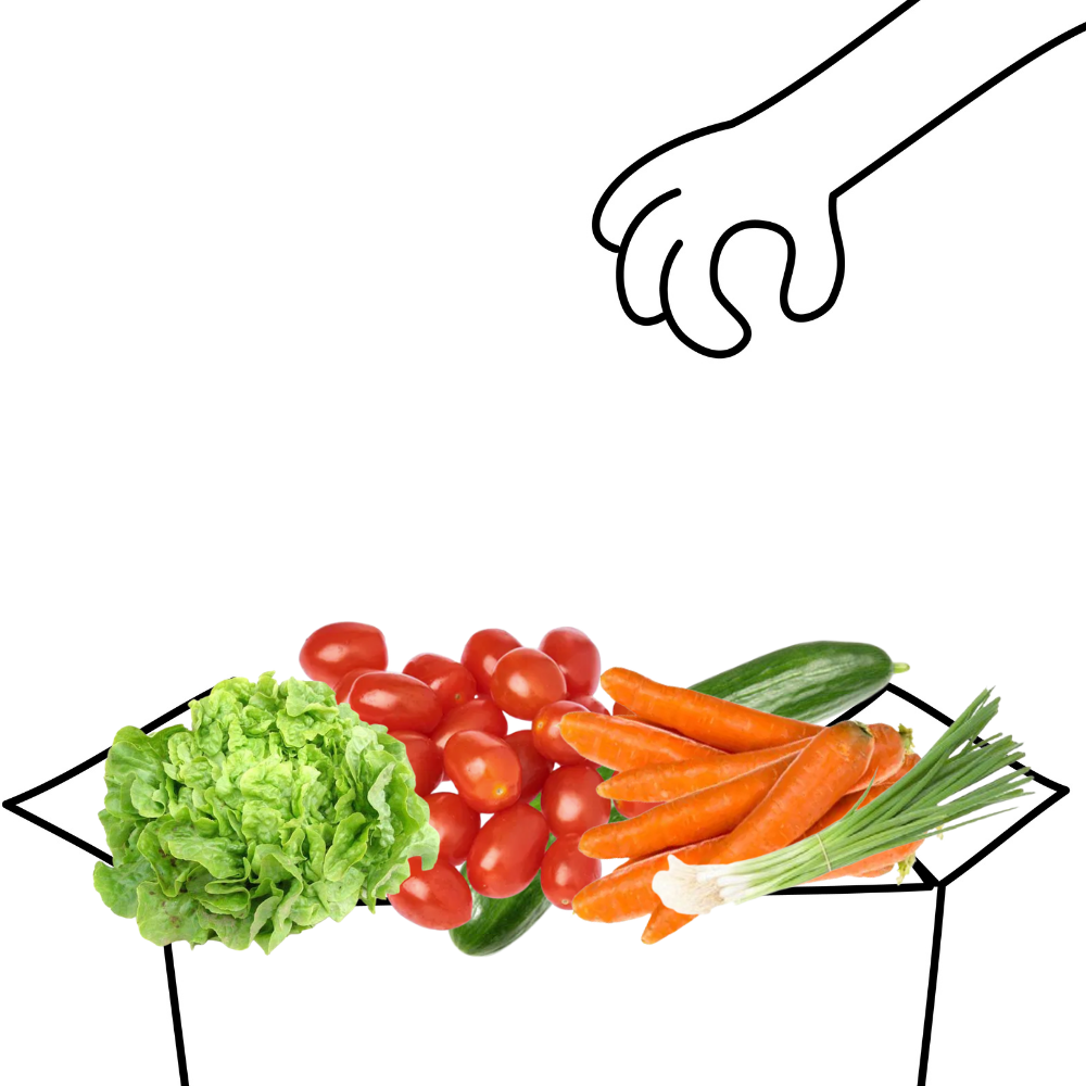 Panier crudités d'été bio