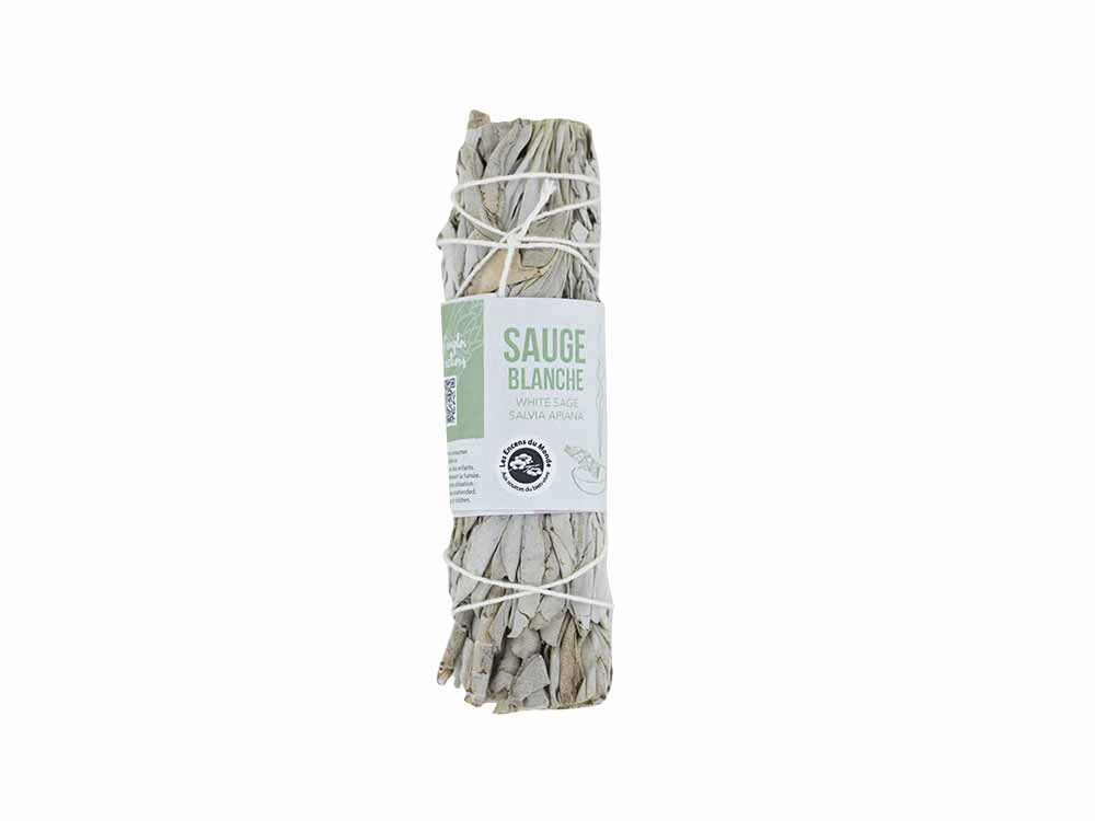Tresse sauge blanche californie
