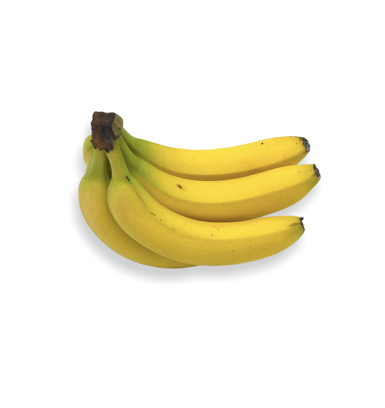 Main de bananes équitables bio origine République Dominicaine