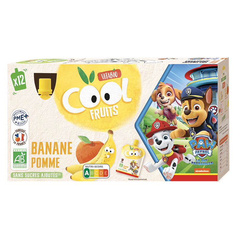 Maxi lot de compotes cool fruits pomme banane bio - 12x90g