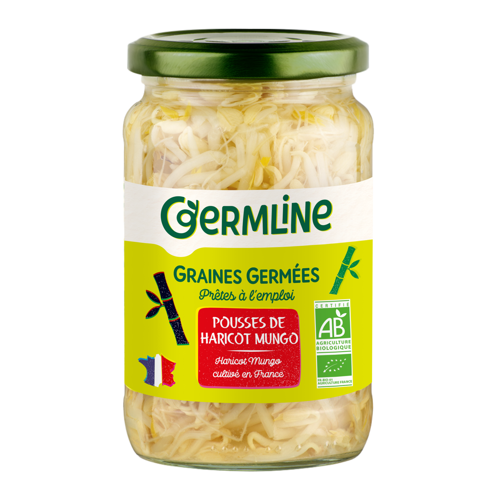 Germes de haricot mungo bio