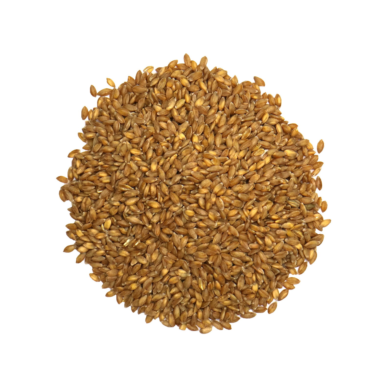 Petit épeautre bio origine France en sachet kraft