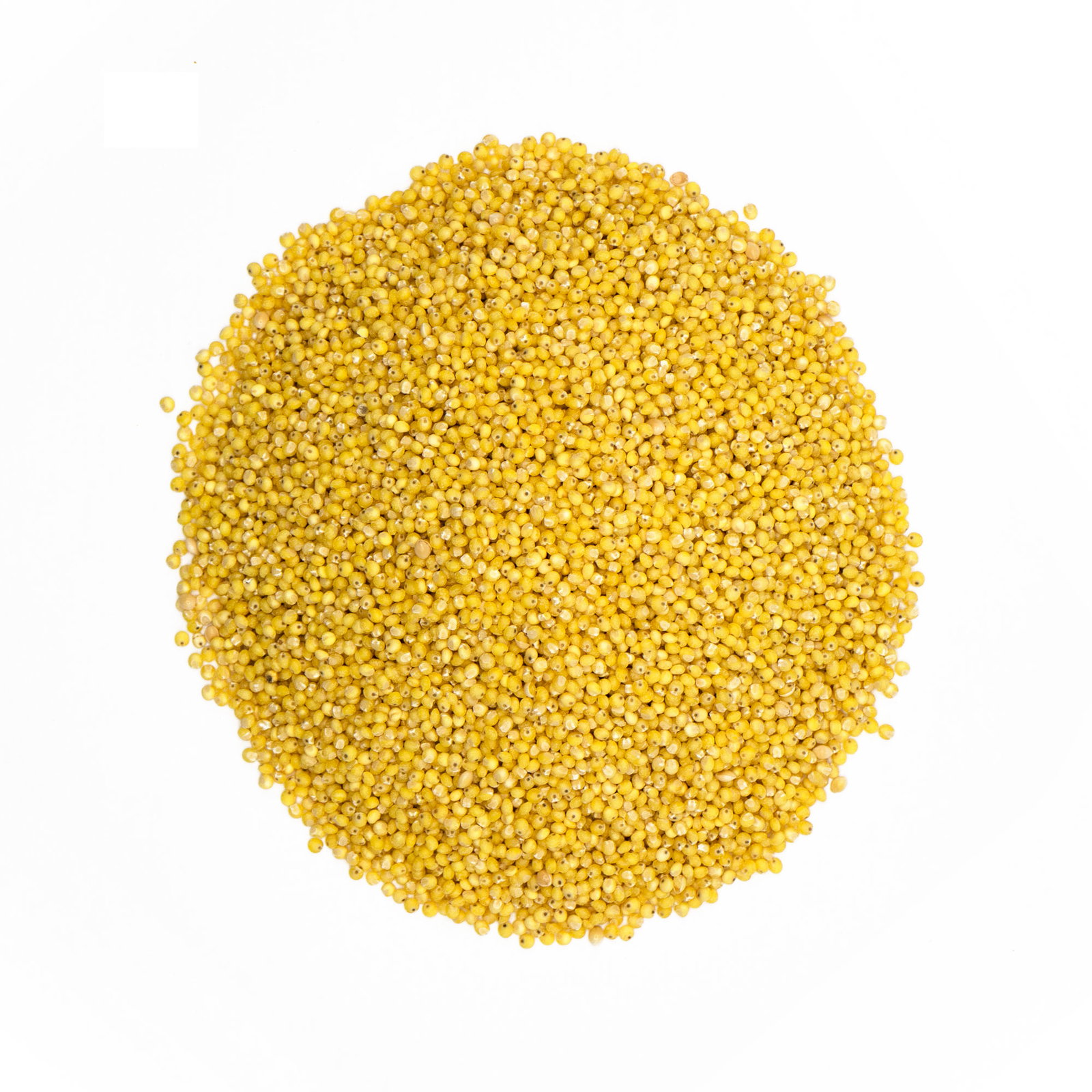 Graines de millet bio origine France en sachet kraft