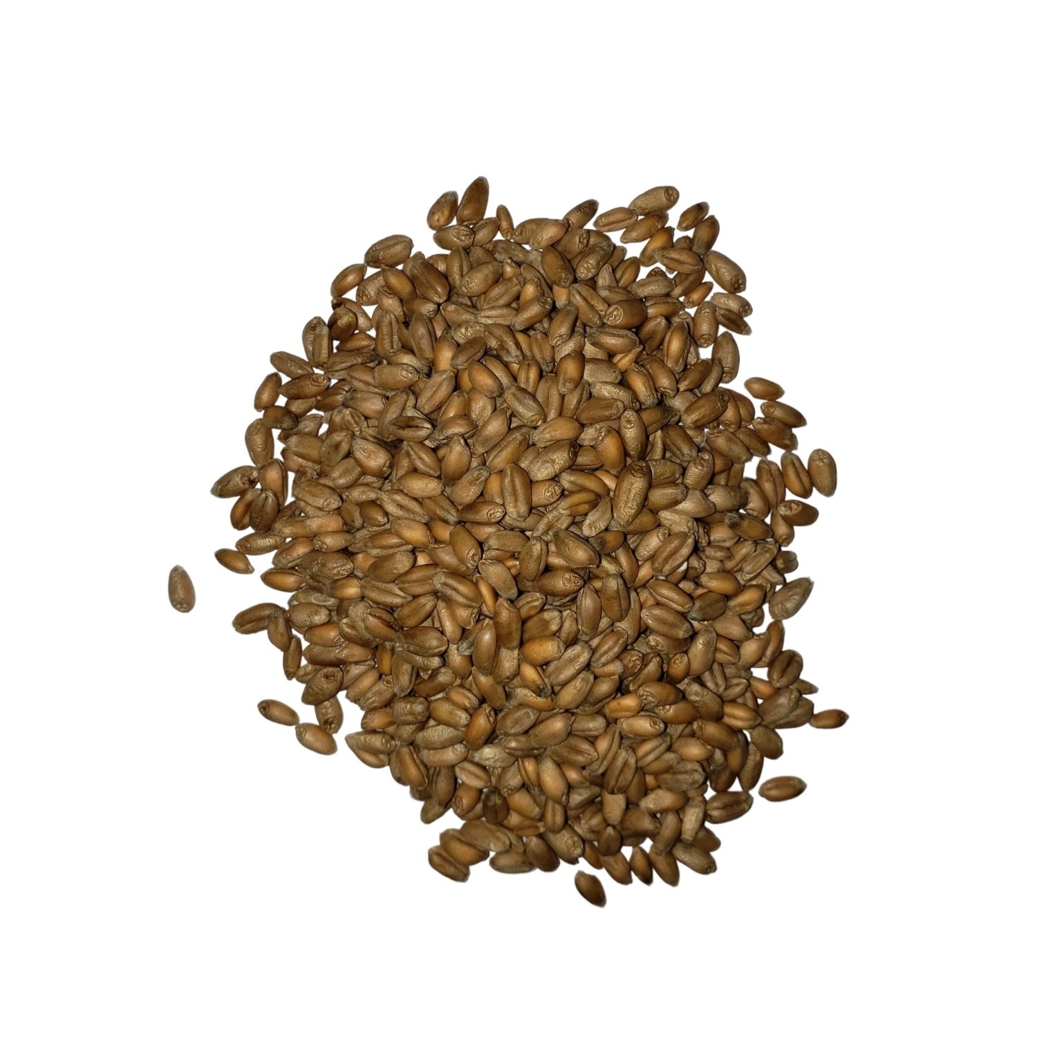 Blé tendre complet bio origine France en sachet kraft