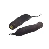 Radis noir bio origine France