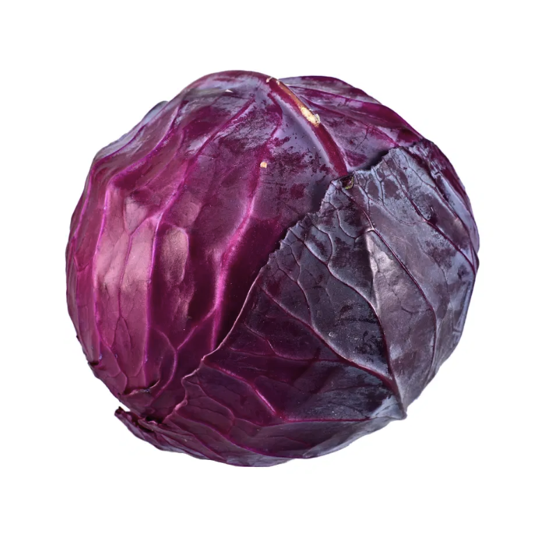 Chou rouge bio origine France