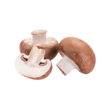 Champignons de Paris bio origine France