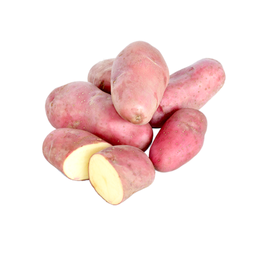 Pommes de terre rouges bio origine France
