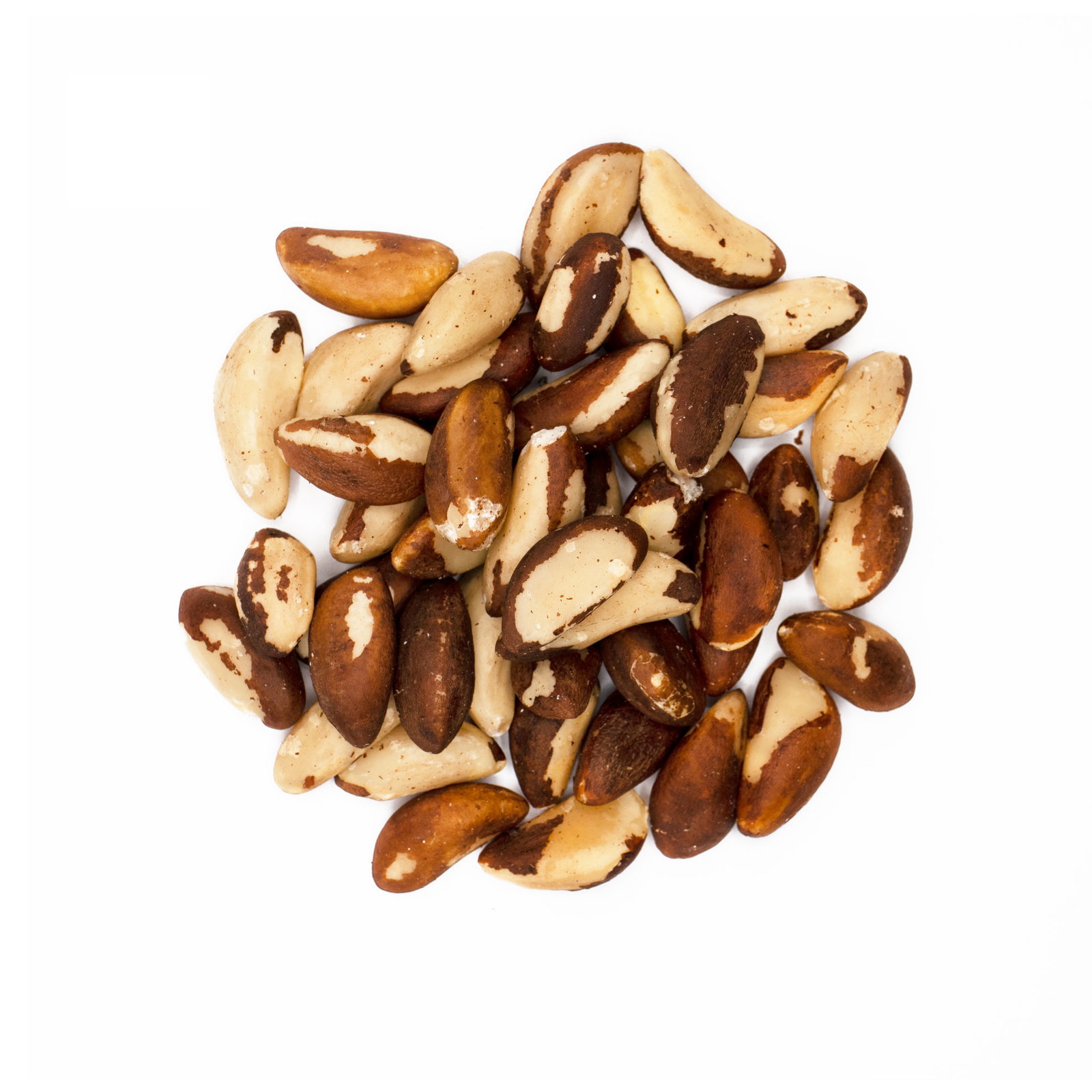 Noix du Brésil bio en sachet kraft - 500g