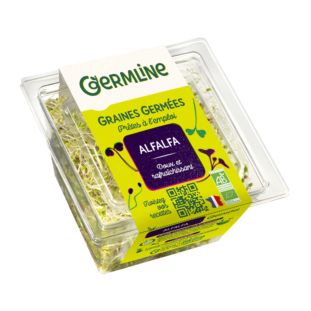 Alfalfa germé bio